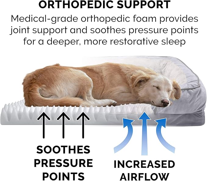 Furhaven Orthopedic Dog Bed for Medium/Small Dogs w/ Removable Bolsters & - Image 5