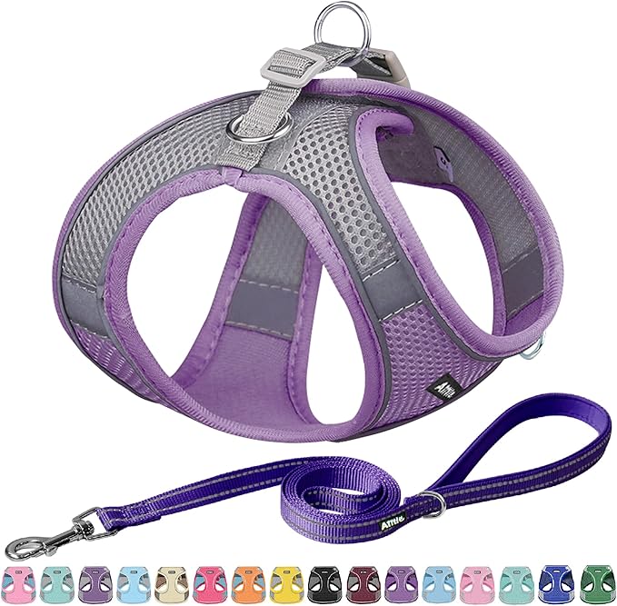 AIITLE Small Harness for Puppy by AIITLE-FORPETSBETTERLIFE