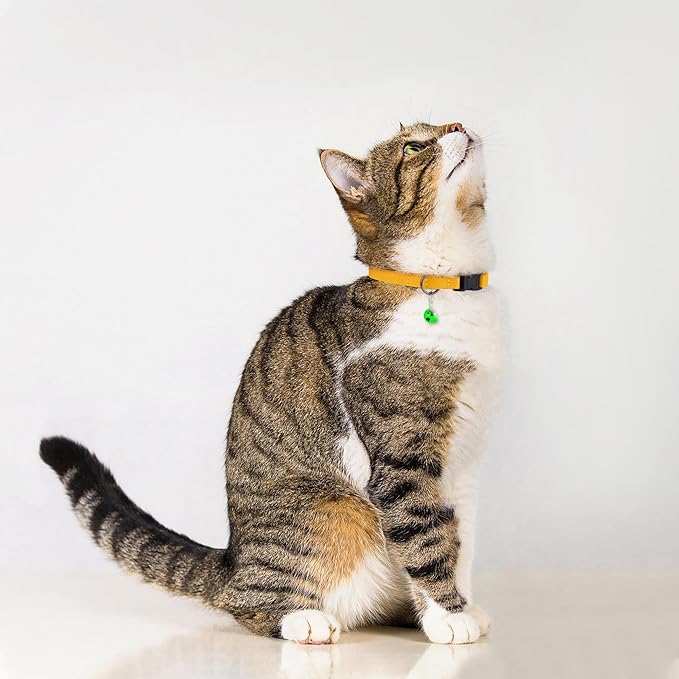 Breakaway Cat Collar with Bell - Image 6
