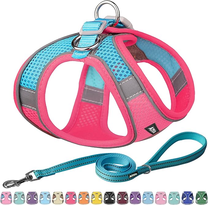 AIITLE Comfortable Dog Harness and Leash Set by AIITLE-FORPETSBETTERLIFE
