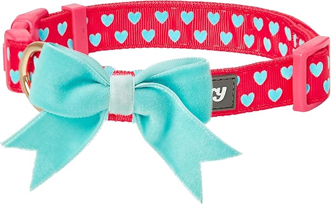 Blueberry Pet Valentines Day Dog Collar - Image 2
