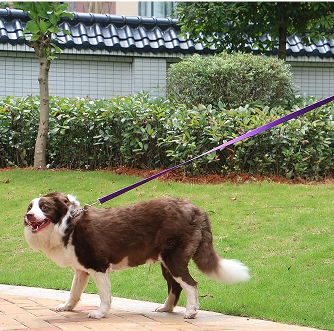 AMAGOOD Dog/Puppy Obedience Recall Training Agility Lead-15 ft 20 ft 30 ft 50 - Image 5