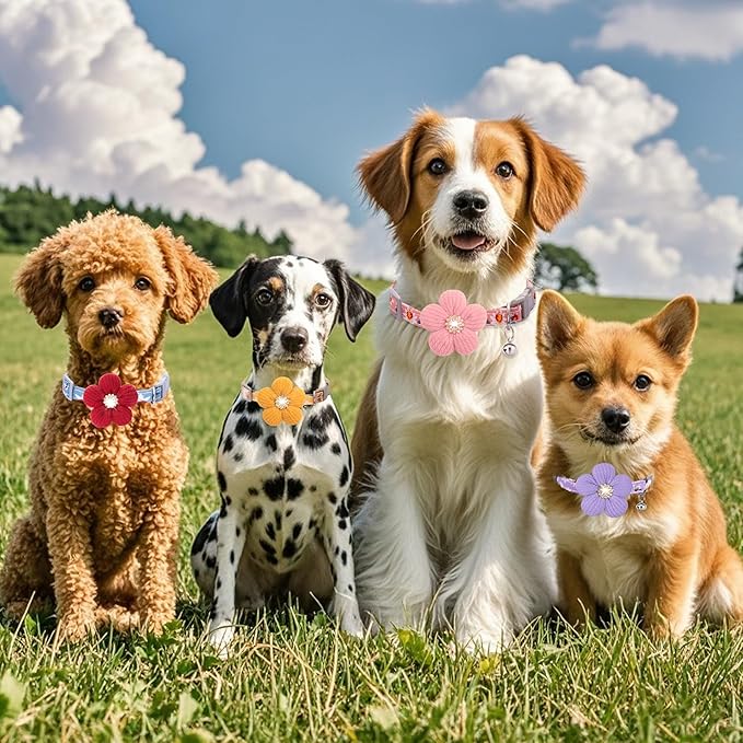 Large Dog Collar with Flower, Dog Collars - Image 7