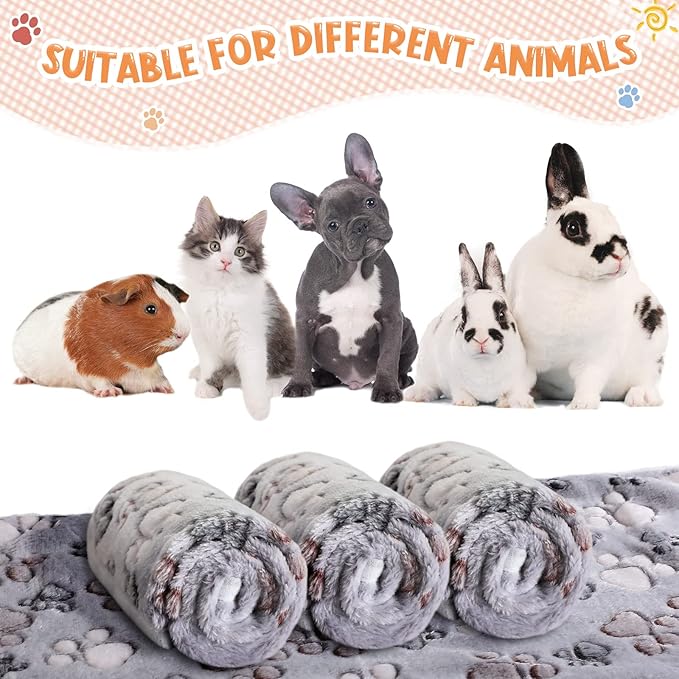 Tatuo 4 Pcs Dog Blanket for Pet Cat Blankets Indoor Puppy Teething Stuff Toys - Image 5