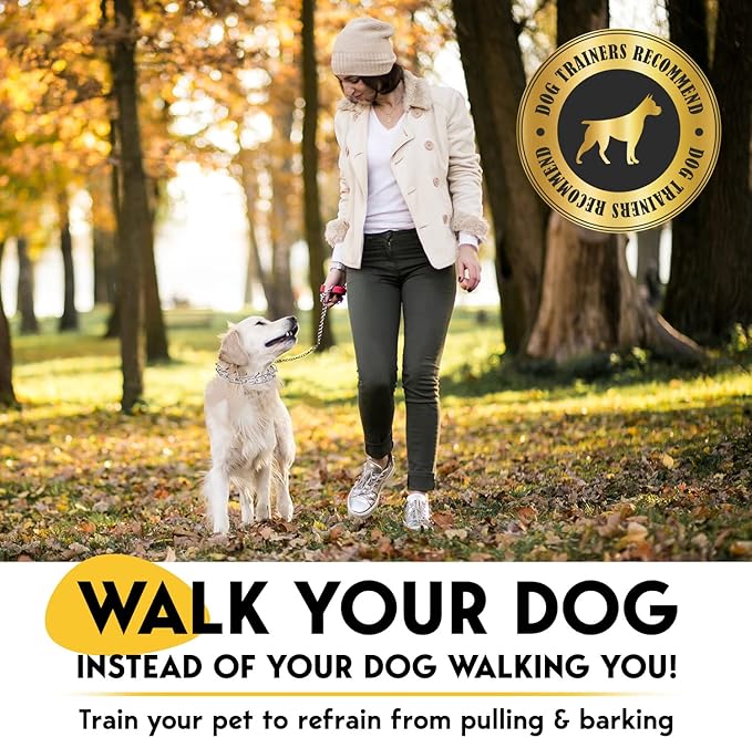 PetJett ProTrainer Prong Collar - Image 2