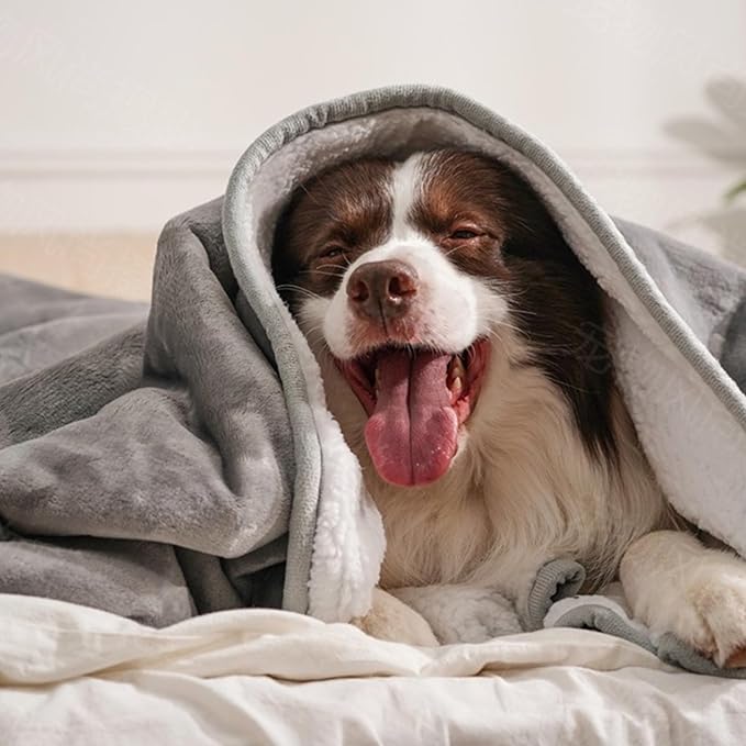 gogobunny Waterproof Blanket for Bed Couch Sofa, Liquid Pee and Fur Proof Pet - Image 4