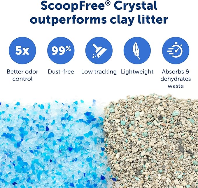 PetSafe Legacy ScoopFree Crystal Pro Self-Cleaning Automatic Cat Litter Box - Image 5