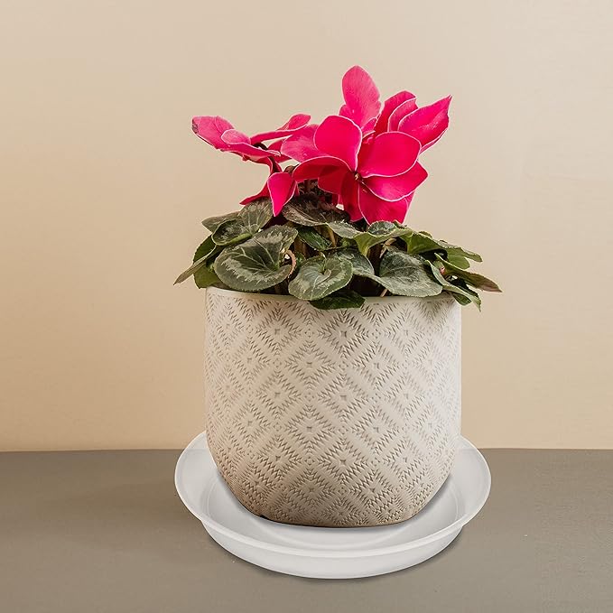6 Pack of 10 inch Plant Saucer Clear, Heavy Duty Plastic Plant Saucer 10 inch - Image 5