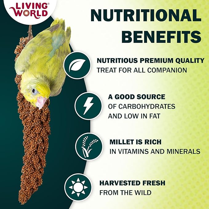 Living World – Millet Spray for Birds, 5 Pounds – Premium Treat for Budgies - Image 2