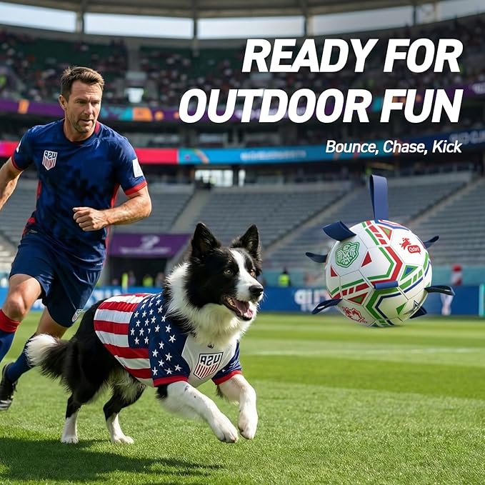 QDAN World Cup Soccer Ball for Dog, 8 Inch Dog Balls - Image 2