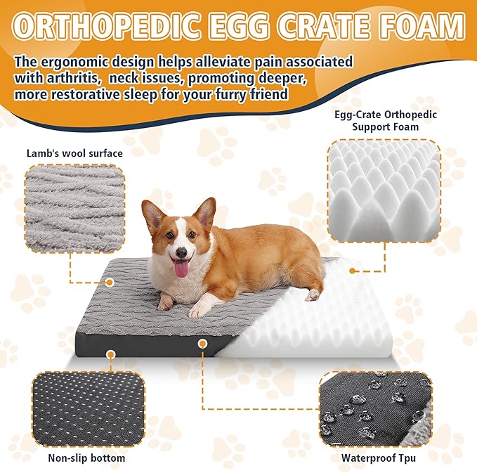 XL Orthopedic Dog Bed - Image 6