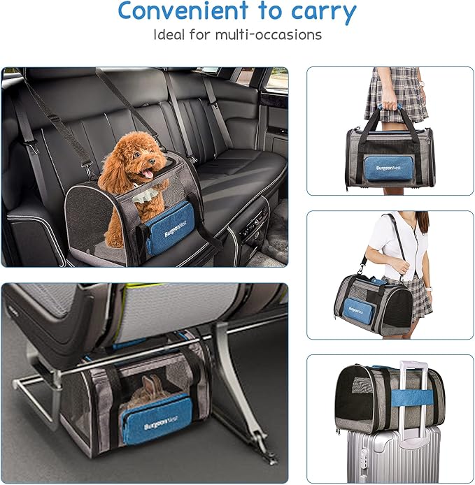 BurgeonNest Cat Carriers for Small Cats Under 15, Medium Puppy Under 25 lbs - Image 7