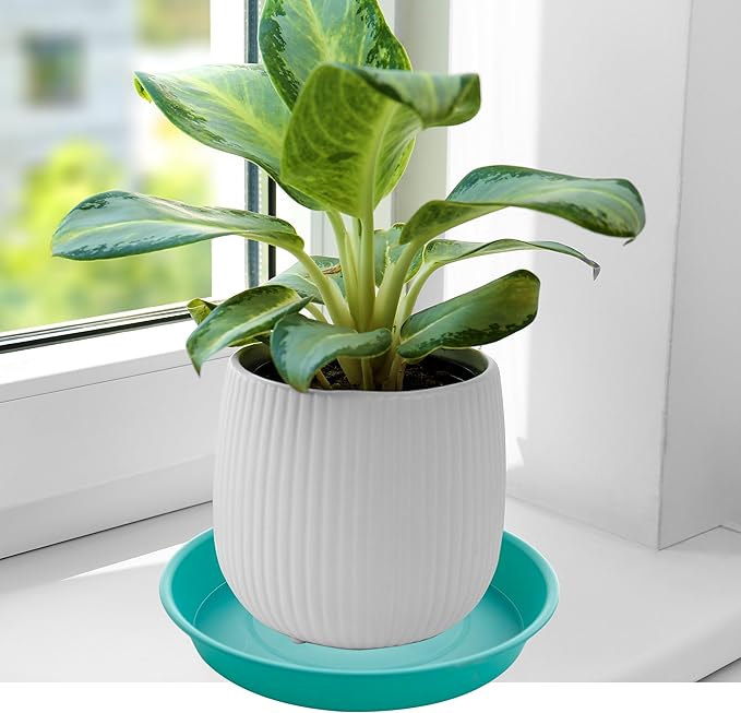 6 Pack of 12 inch Plant Saucer, Heavy Duty Plastic Plant Saucer 12" Round - Image 4