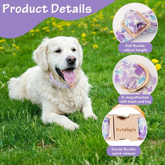 Elegant Butterfly Dog Collar, Adjustable Comfortable - Image 3