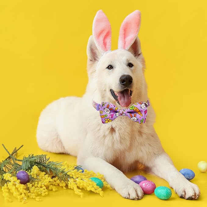 Easter Dog Collar with Bow Tie Set, Adjustable Purple Bunny and Carrot Pattern - Image 4