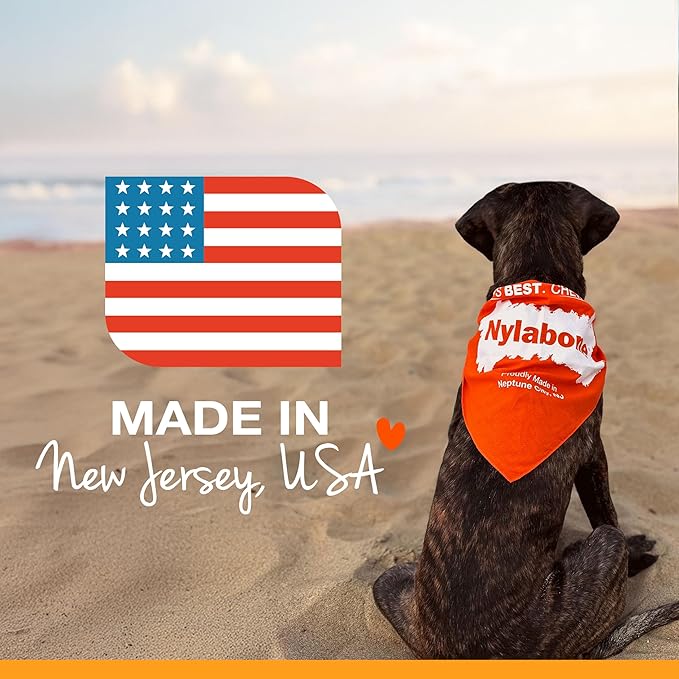 Nylabone Original Bone Flexi Chew Toy - Image 11