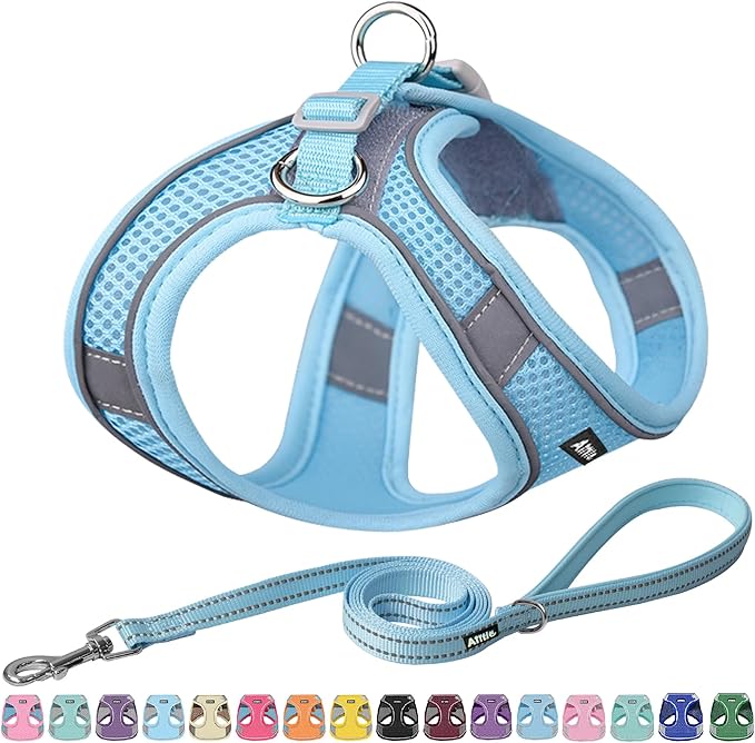 AIITLE Escape Proof Dog Harness by AIITLE-FORPETSBETTERLIFE