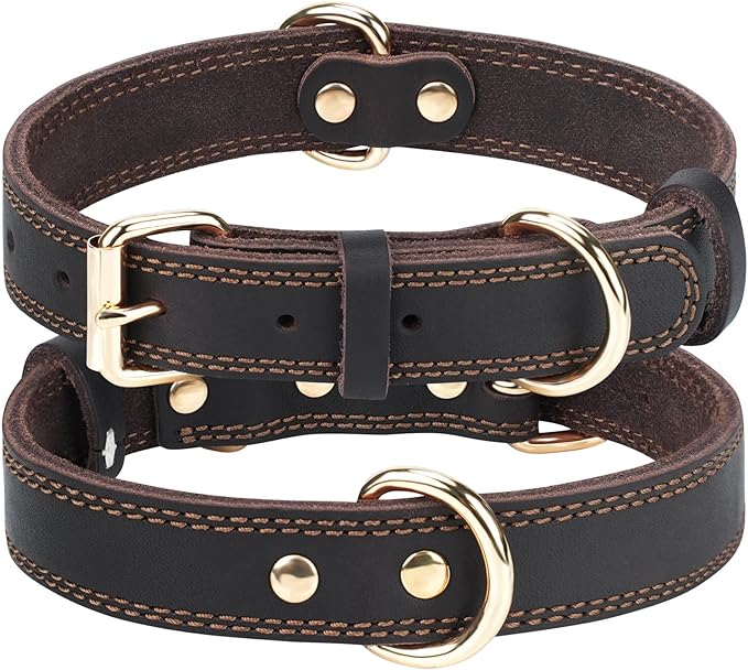 Joytale Leather Dog Collar for Medium Dogs, Genuine Thick Solid Leather by Joytale