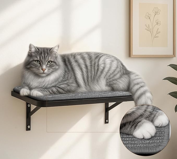 Cat Wall Shelves Set of 2, Wall-Mounted Space-Saving Climbing Shelf, Window - Image 2