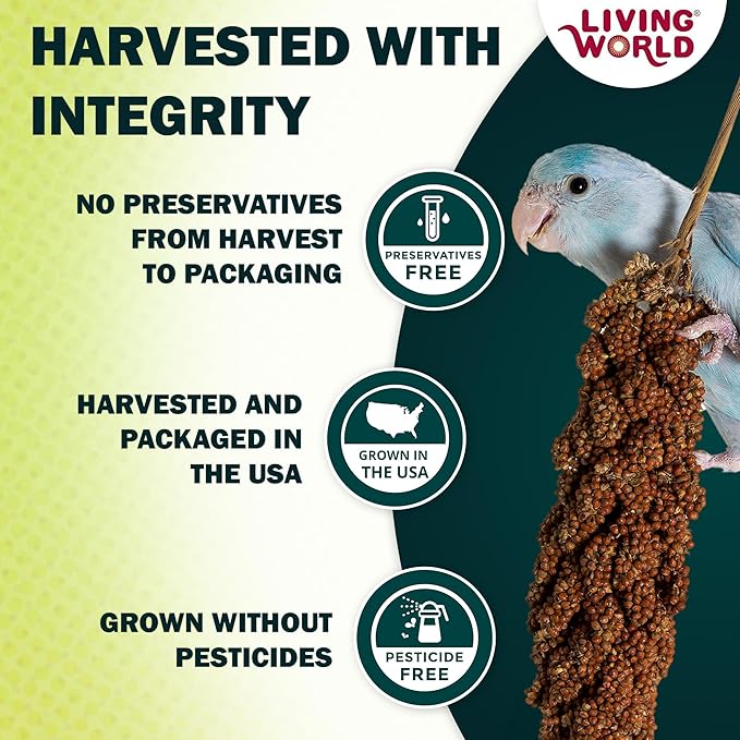 Living World - Millet Spray for Birds, 3.5 Oz – Premium Treat for Budgies - Image 3