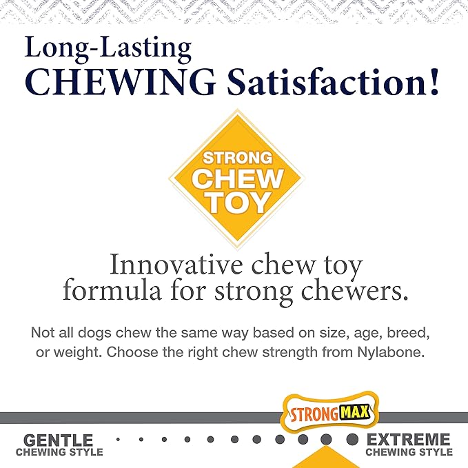 Nylabone Gourmet Style Wishbone Strong Chew Toy - Image 7
