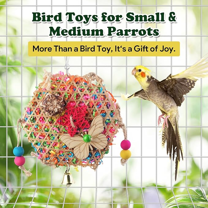 Bird Toys, Parakeet Foraging Toy, Hanging Chewing Toy, Bird Cage Accessories – - Image 2