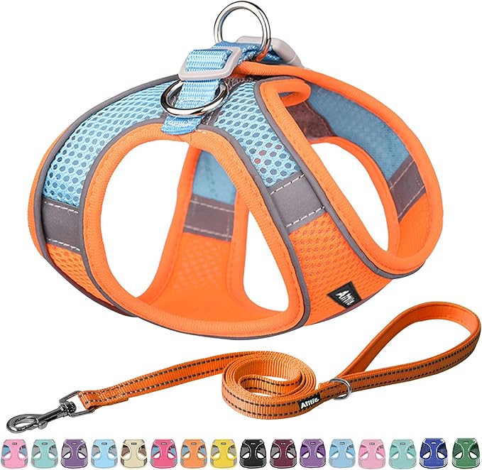 AIITLE Small Harness for Puppy by AIITLE-FORPETSBETTERLIFE
