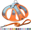 AIITLE Dog Harness, No-Pull Cat Harness by AIITLE-FORPETSBETTERLIFE
