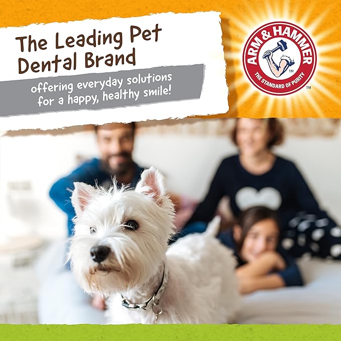 ARM & HAMMER for Pets Nubbies Duality Bone Dental Dog Toy- Best Dog Chew Toy - Image 6
