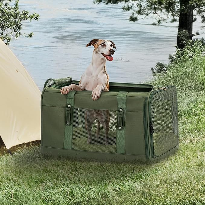 Petsfit 19x12x12 Pet Carrier for Large Cats, Soft-Sided Small Dog Travel Carrier - Image 9