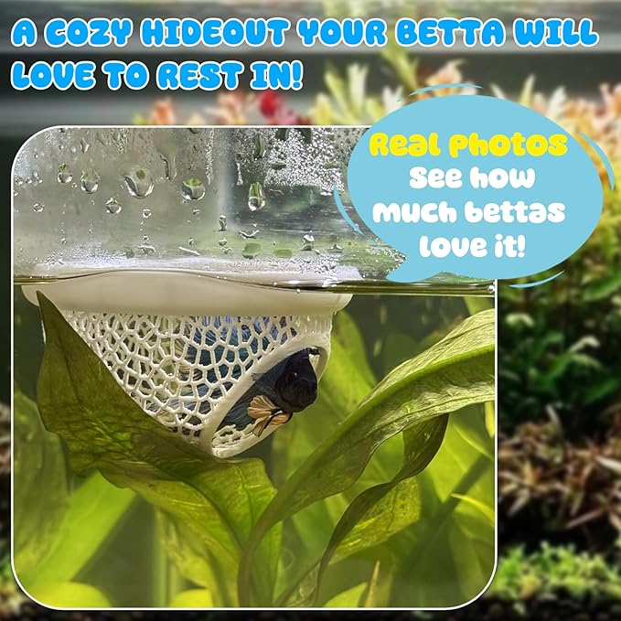 Floating Betta Hide & Shrimp Cave – All-in-One Aquarium Hammock, and Safe - Image 6