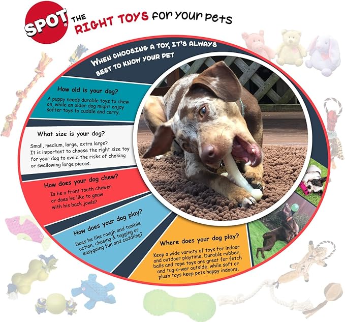 SPOT Play Strong Bone- Durable TPR Long Lasting Dog Chew - Image 9
