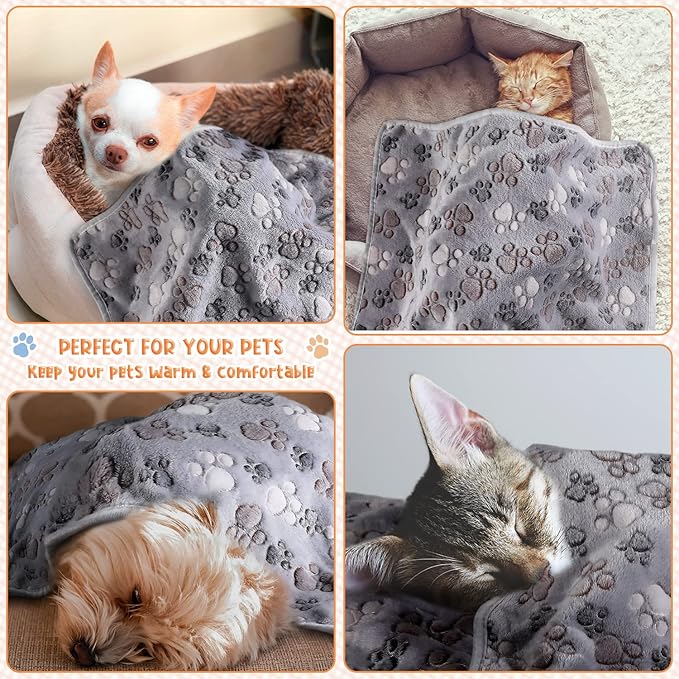 Tatuo 4 Pcs Dog Blanket for Pet Cat Blankets Indoor Puppy Teething Stuff Toys - Image 4