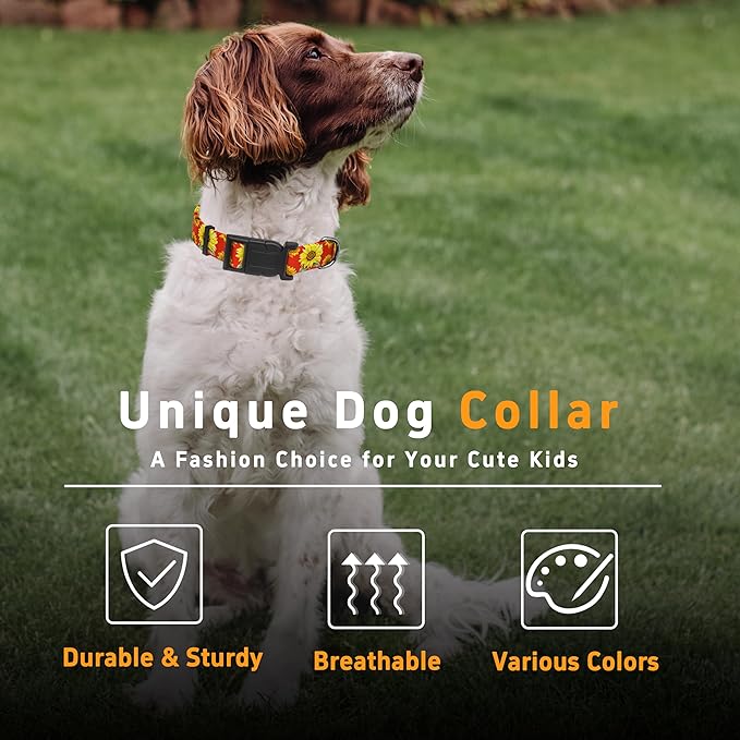 Sunflower Dog Collar, Floral Boys Girls Puppy Collar - Image 5