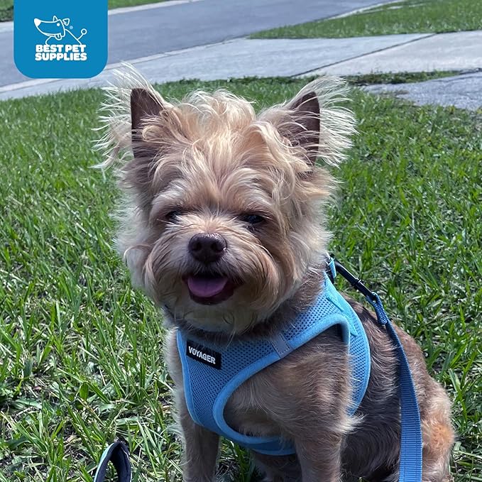 Best Pet Supplies Voyager Step-in Air Harness - Image 11