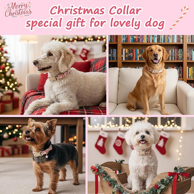 Christmas Dog Collar for Extra Small Dogs, Adjustable Poly-Cotton Fabric Collar - Image 2