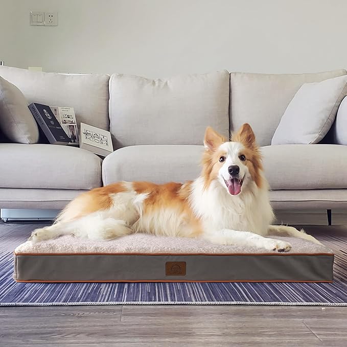 Sunheir Orthopedic Dog Beds for Small Dogs, Waterproof Puppy Bed - Image 7