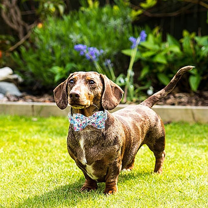 Lionheart glory Dog Collar Bow Collar Floral Dog Collar - Image 3