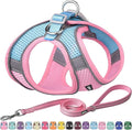 AIITLE Small Harness for Puppy by AIITLE-FORPETSBETTERLIFE