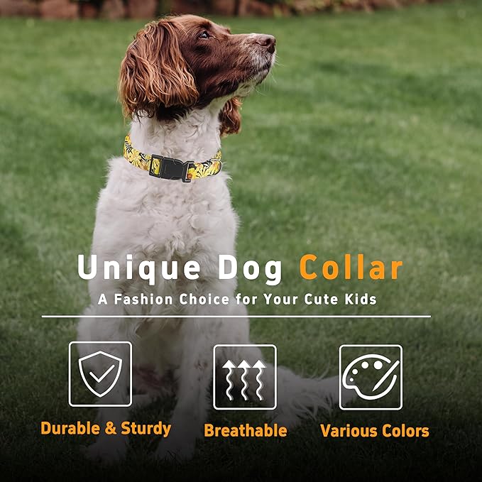 Dog Collar for Boys Girls, Puppy Collar for Small Medium Large Dogs, Adjustable - Image 5