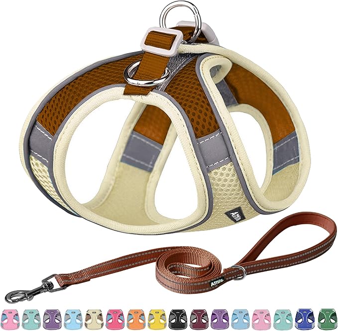 AIITLE No Pull Dog Harness and Leash Set, Step in Adjustable Dog Harness by AIITLE-FORPETSBETTERLIFE