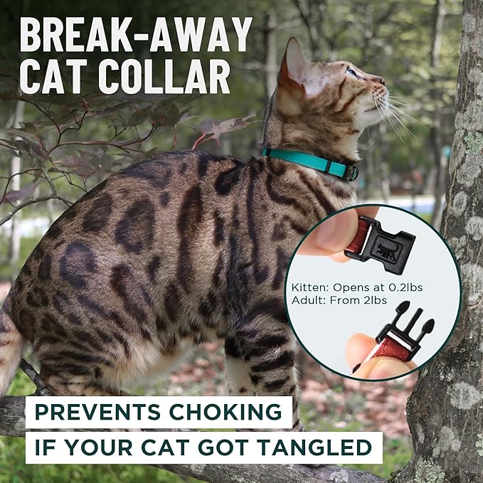 OutdoorBengal Red Cat Collar Breakaway - Image 2