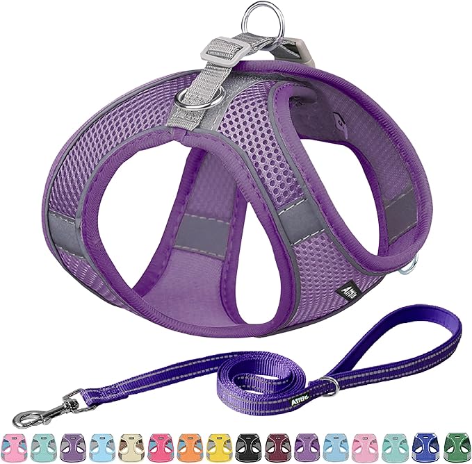 AIITLE Step in Dog Harness and Leash Set by AIITLE-FORPETSBETTERLIFE