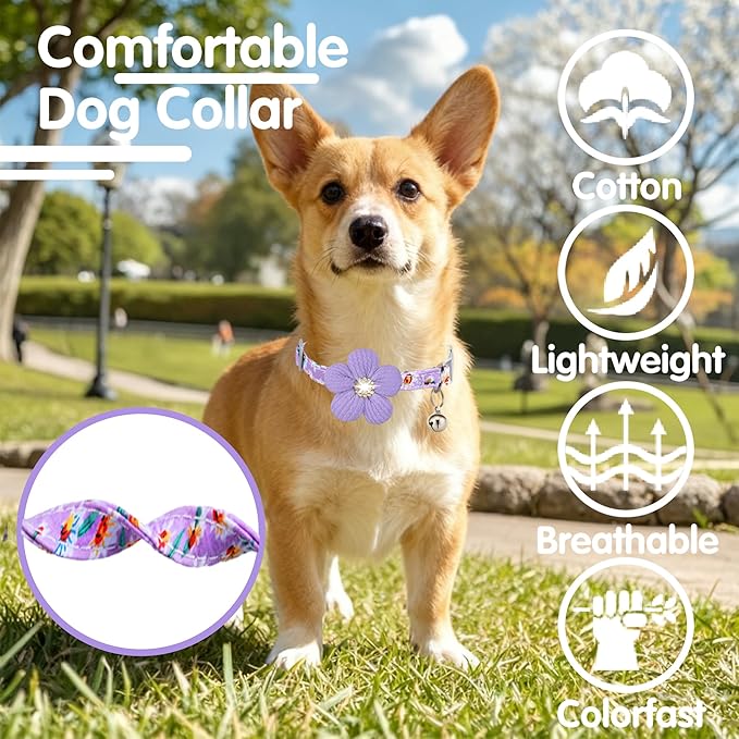 Medium Dog Collar with Flower, Dog Collars - Image 4