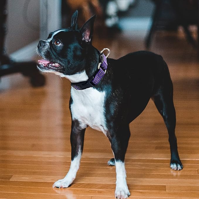 Hikiko Martingale Collar for Dogs Reflective Nylon Dog Collar - Image 4