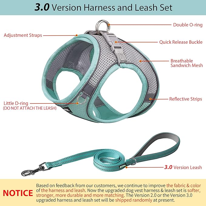AIITLE Step in Dog Harness and Leash Set - Image 4