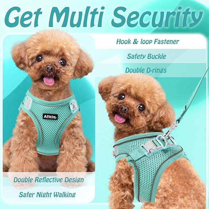 AIITLE Easy Walk Dog Harness and Leash Set - Image 7