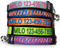 Pawtitas Personalized Teal Reflective Cat Collar – Adjustable Custom Collar by Pawtitas