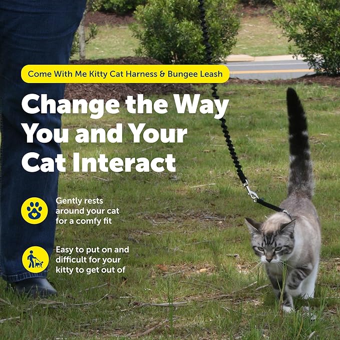 PetSafe Come With Me Kitty Cat Harness & Bungee Leash - Image 5