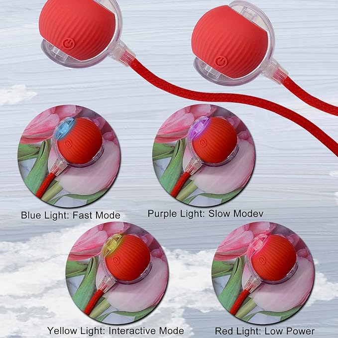 Interactive Cat Dog Toy Ball: Indoor Small Automatic Moving Smart Rolling Fun - Image 4